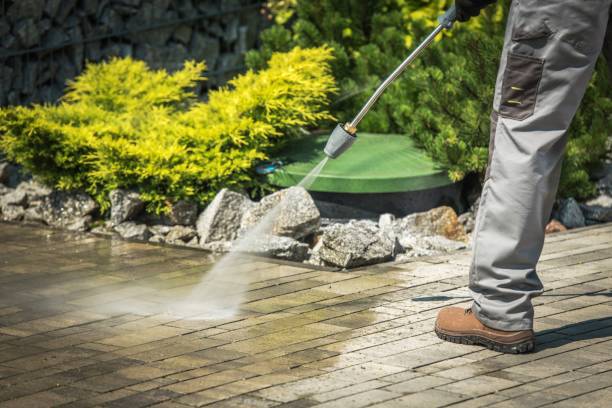 Best Roof Washing  in Ashland, WI