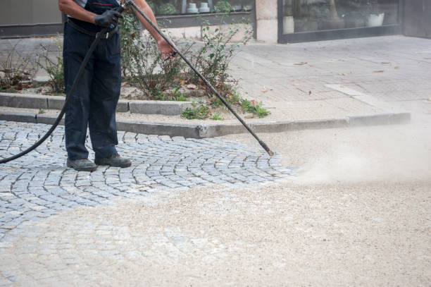 Best Animal Enclosure Cleaning  in Ashland, WI